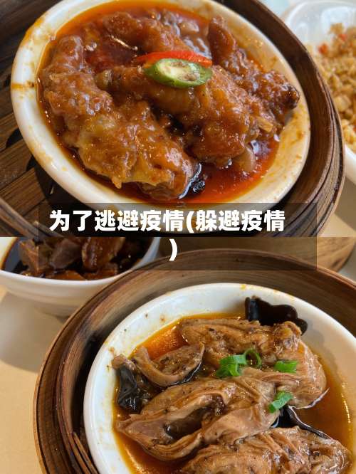 为了逃避疫情(躲避疫情)-第3张图片