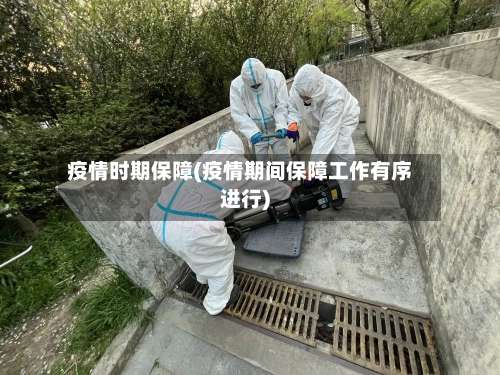 疫情时期保障(疫情期间保障工作有序进行)-第2张图片