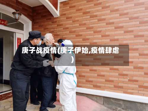 庚子战疫情(庚子伊始,疫情肆虐)