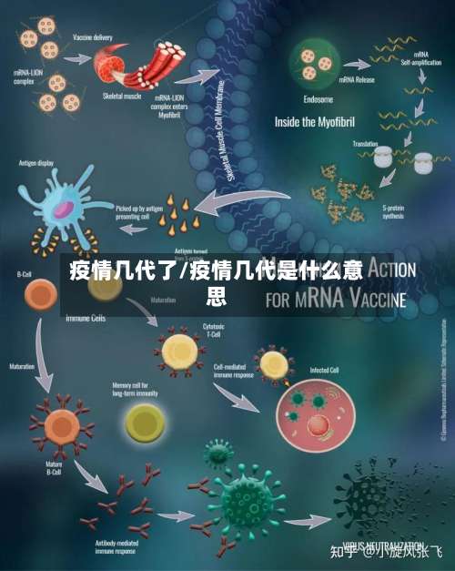 疫情几代了/疫情几代是什么意思