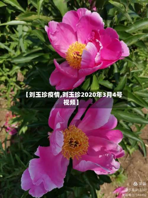 【刘玉珍疫情,刘玉珍2020年3月4号视频】-第3张图片