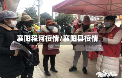 襄阳程河疫情/襄阳县疫情
