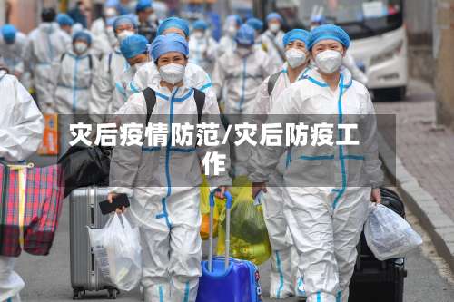 灾后疫情防范/灾后防疫工作