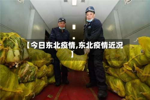 【今日东北疫情,东北疫情近况】-第2张图片