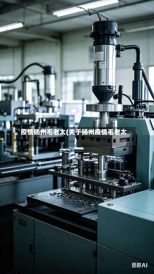 疫情扬州毛老太(关于扬州疫情毛老太)
