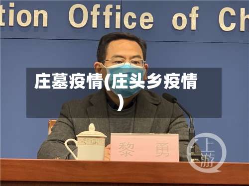 庄墓疫情(庄头乡疫情)