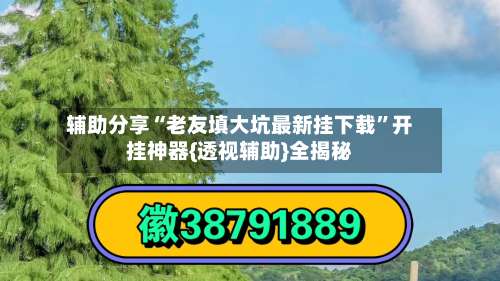 辅助分享“老友填大坑最新挂下载”开挂神器{透视辅助}全揭秘-第2张图片