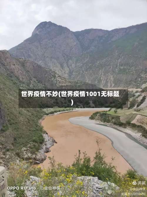 世界疫情不妙(世界疫情1001无标题)-第2张图片