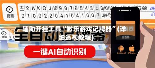 辅助开挂工具“微乐游戏记牌器”(详细透视教程)-第2张图片