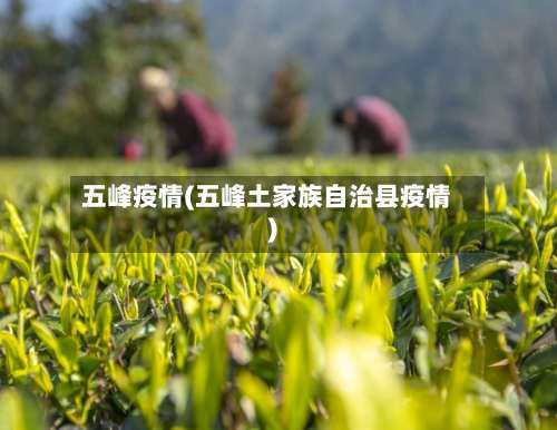 五峰疫情(五峰土家族自治县疫情)