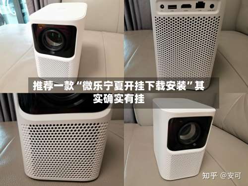 推荐一款“微乐宁夏开挂下载安装	”其实确实有挂-第2张图片