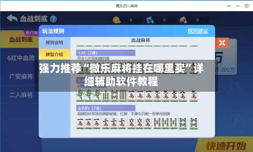 强力推荐“微乐麻将挂在哪里买”详细辅助软件教程