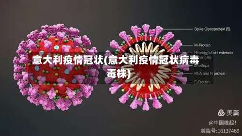 意大利疫情冠状(意大利疫情冠状病毒毒株)-第2张图片