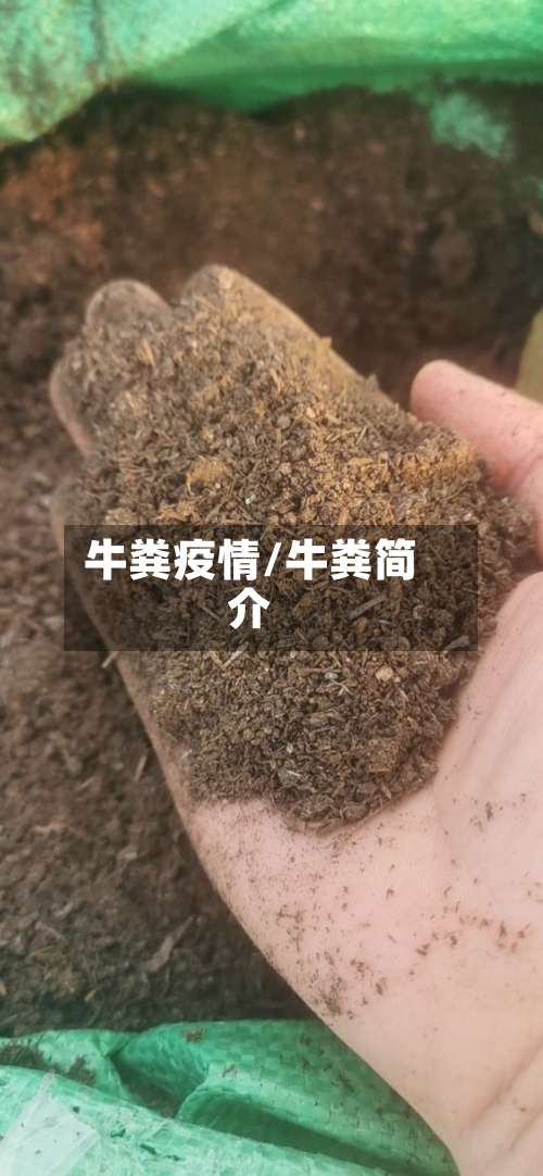 牛粪疫情/牛粪简介-第2张图片