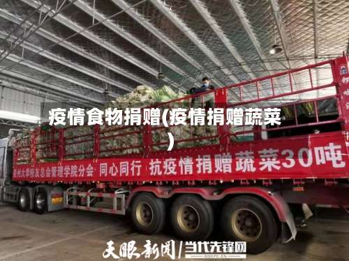 疫情食物捐赠(疫情捐赠蔬菜)