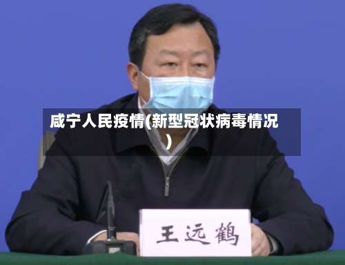 咸宁人民疫情(新型冠状病毒情况)-第1张图片