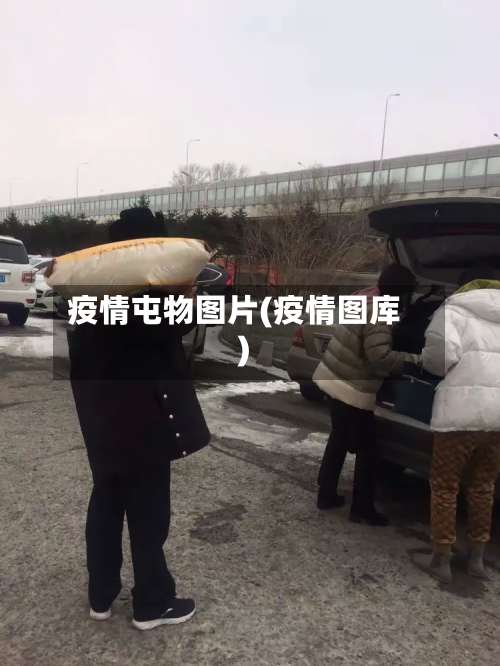 疫情屯物图片(疫情图库)