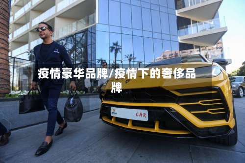 疫情豪华品牌/疫情下的奢侈品牌