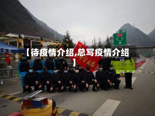 【待疫情介绍,总写疫情介绍】