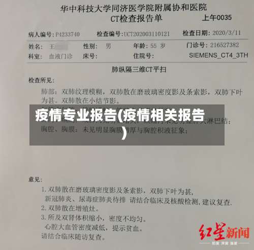疫情专业报告(疫情相关报告)-第3张图片
