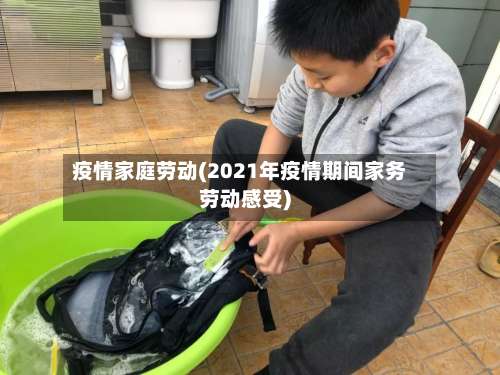疫情家庭劳动(2021年疫情期间家务劳动感受)-第3张图片