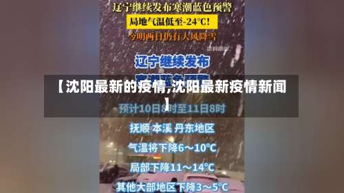 【沈阳最新的疫情,沈阳最新疫情新闻】-第2张图片