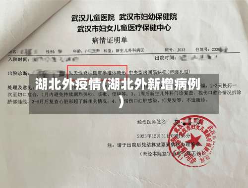 湖北外疫情(湖北外新增病例)-第2张图片