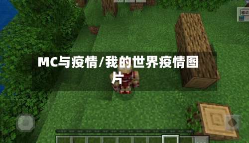 MC与疫情/我的世界疫情图片