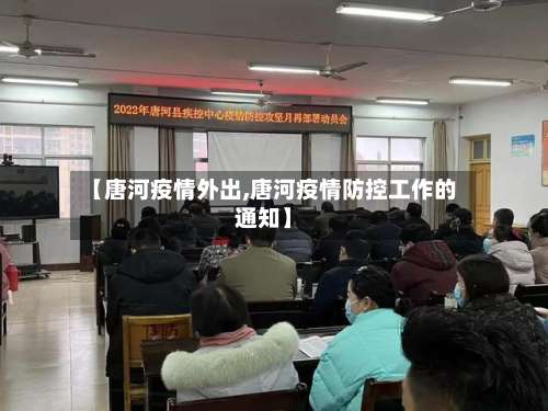 【唐河疫情外出,唐河疫情防控工作的通知】