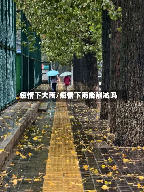 疫情下大雨/疫情下雨能削减吗