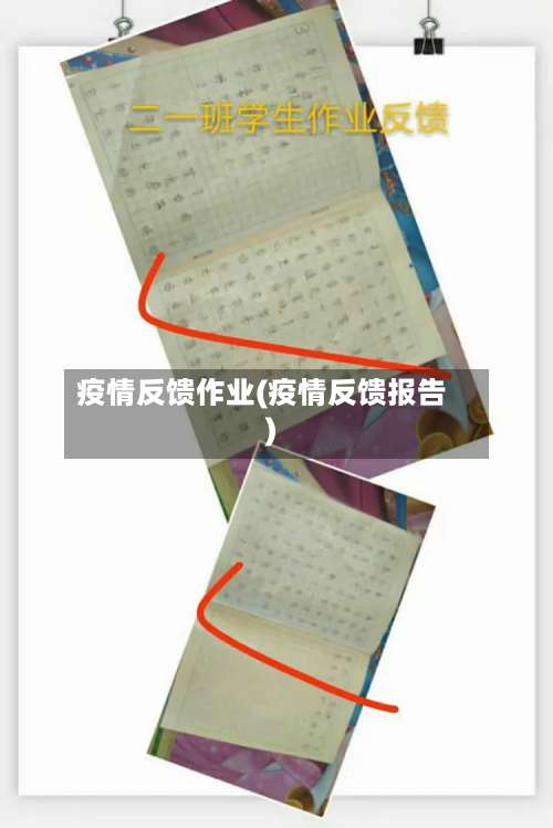 疫情反馈作业(疫情反馈报告)-第2张图片