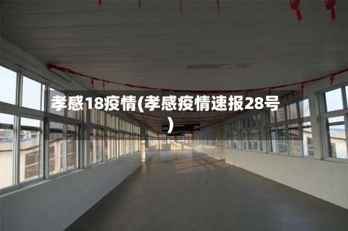 孝感18疫情(孝感疫情速报28号)