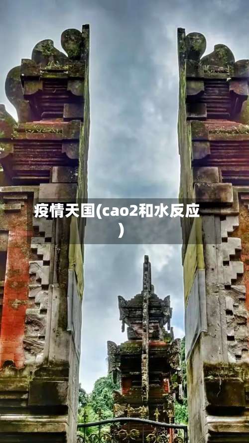 疫情天国(cao2和水反应)