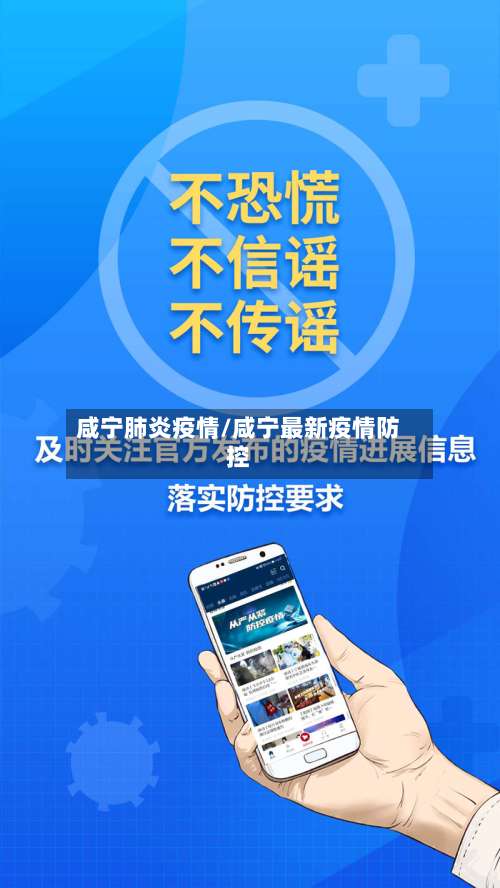 咸宁肺炎疫情/咸宁最新疫情防控-第3张图片