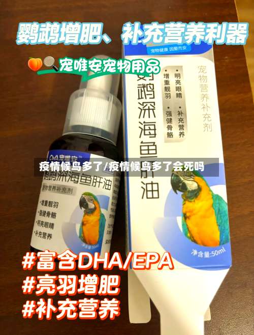 疫情候鸟多了/疫情候鸟多了会死吗