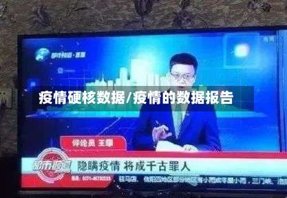 疫情硬核数据/疫情的数据报告-第2张图片