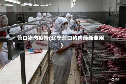 营口猪肉疫情(辽宁营口猪肉最新费用)-第3张图片