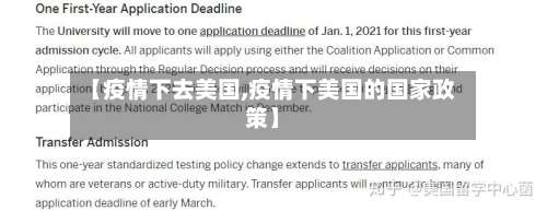 【疫情下去美国,疫情下美国的国家政策】-第2张图片