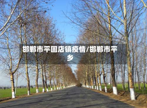 邯郸市平固店镇疫情/邯郸市平乡-第3张图片