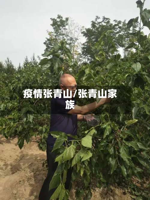 疫情张青山/张青山家族