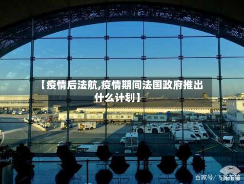 【疫情后法航,疫情期间法国政府推出什么计划】-第2张图片