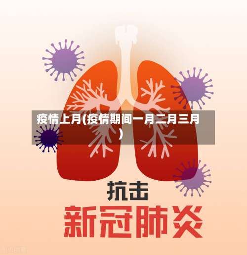 疫情上月(疫情期间一月二月三月)-第2张图片