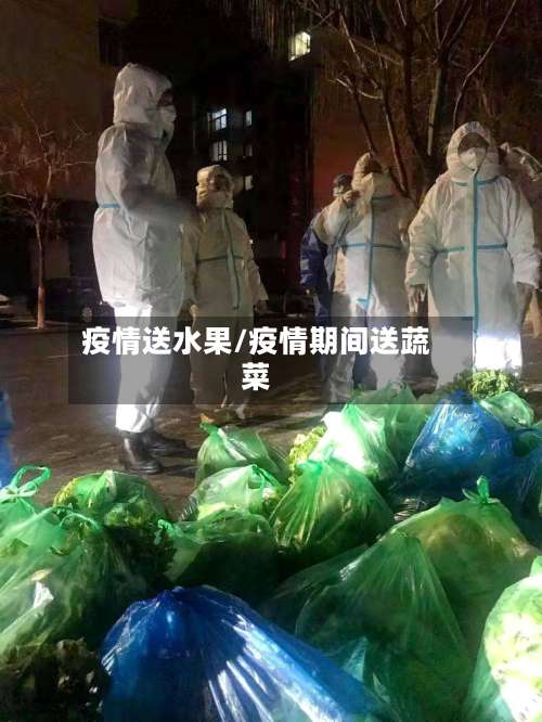 疫情送水果/疫情期间送蔬菜-第2张图片