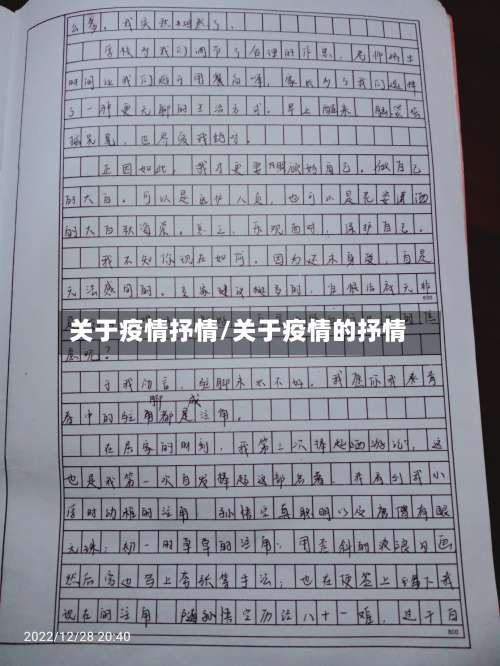 关于疫情抒情/关于疫情的抒情