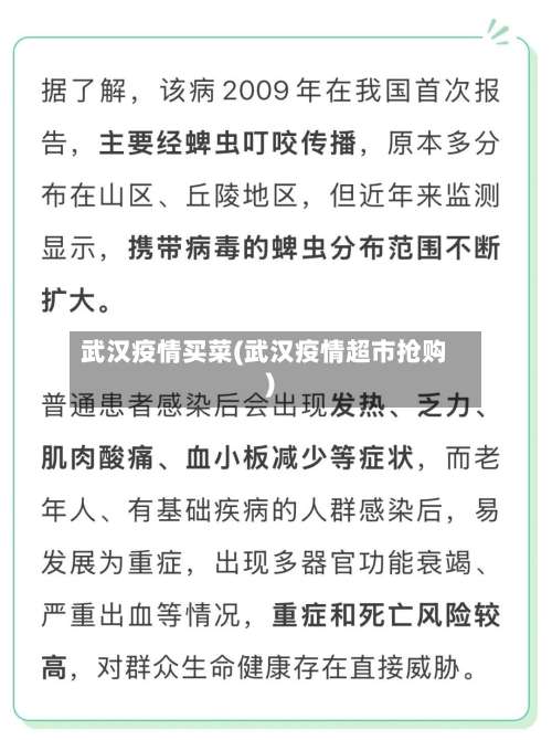 武汉疫情买菜(武汉疫情超市抢购)