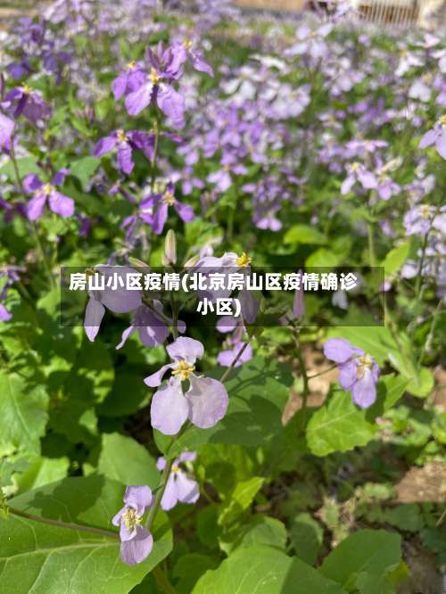 房山小区疫情(北京房山区疫情确诊小区)-第2张图片