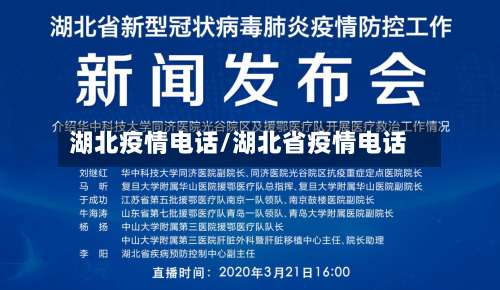 湖北疫情电话/湖北省疫情电话-第2张图片