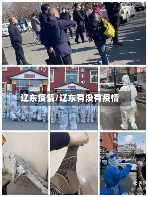 辽东疫情/辽东有没有疫情-第2张图片