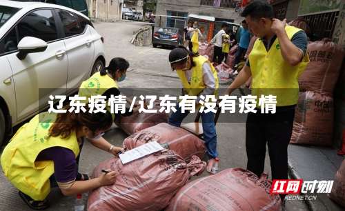 辽东疫情/辽东有没有疫情-第3张图片