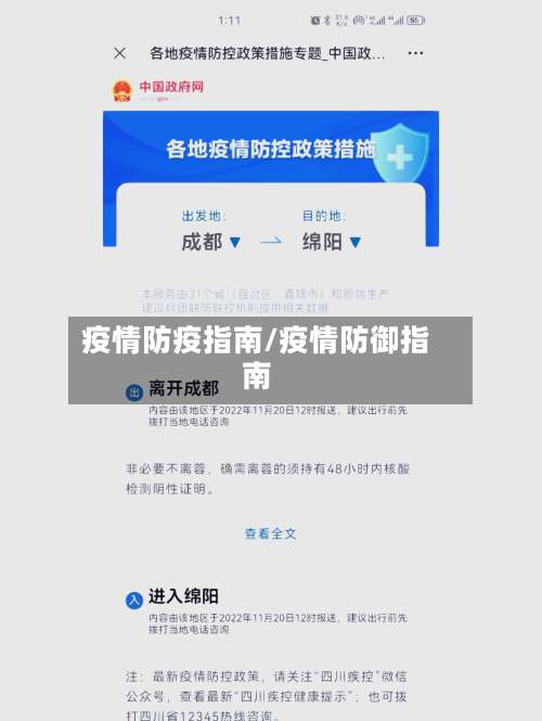 疫情防疫指南/疫情防御指南